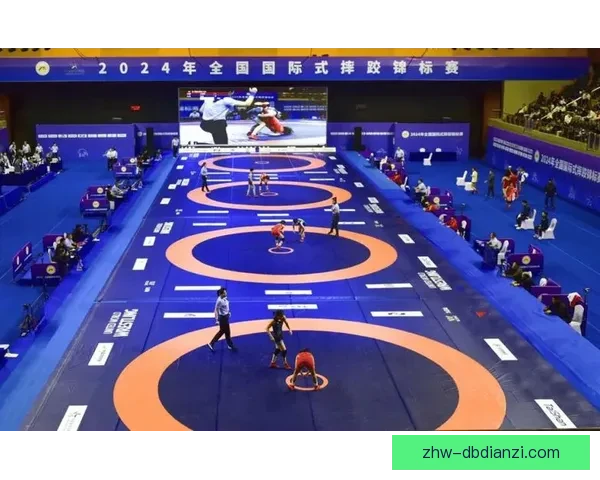 摔跤技巧精进，打造无敌力量